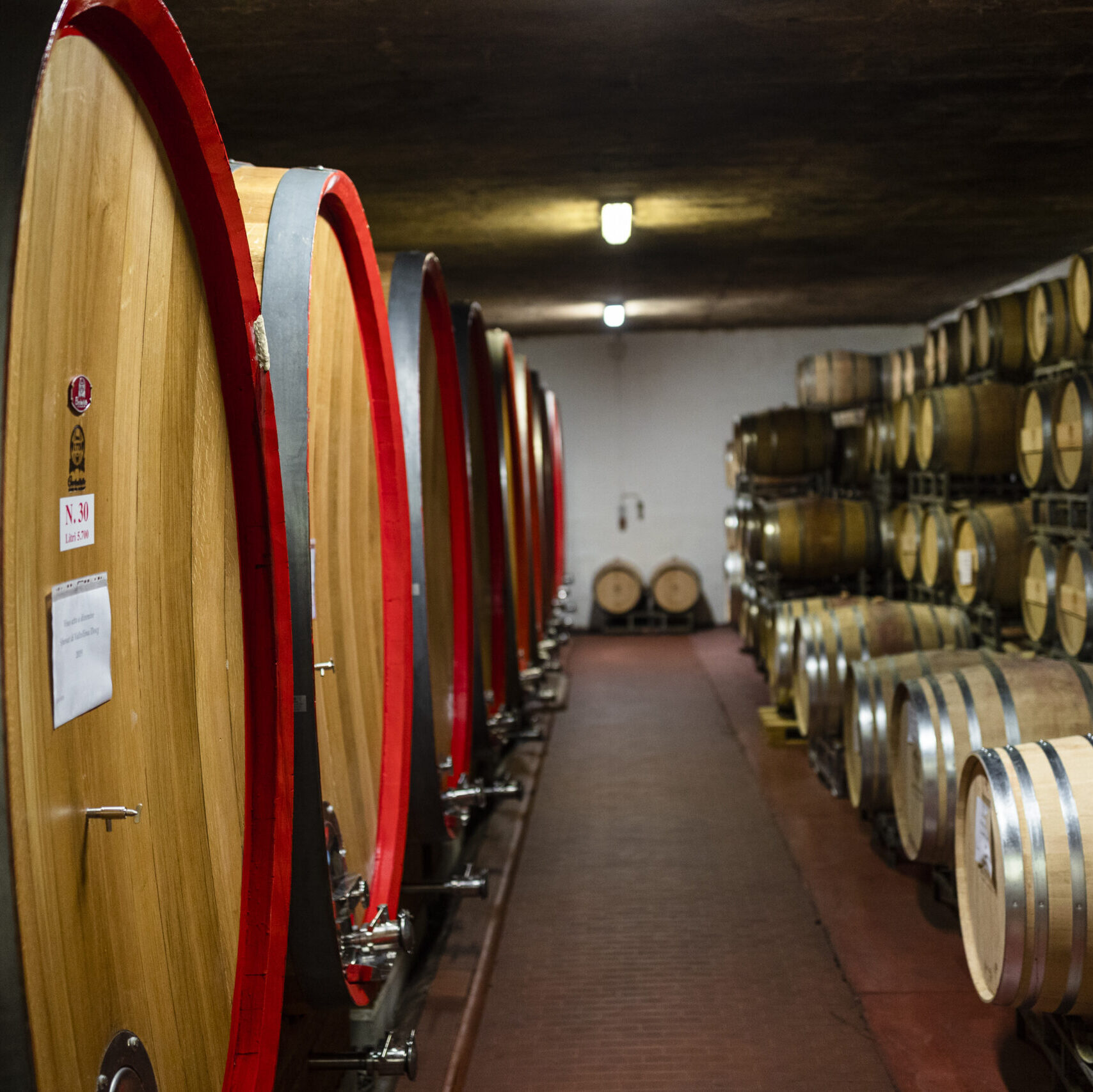 valtellina wine tasting tour