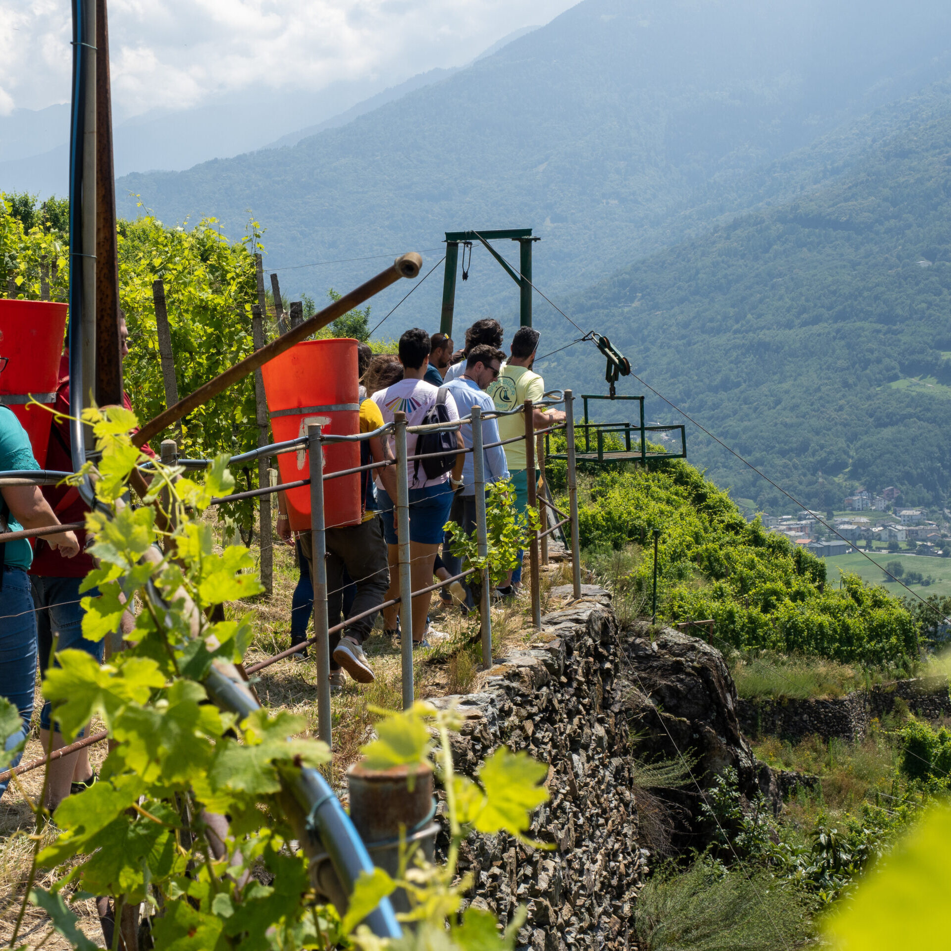 wine tour clients