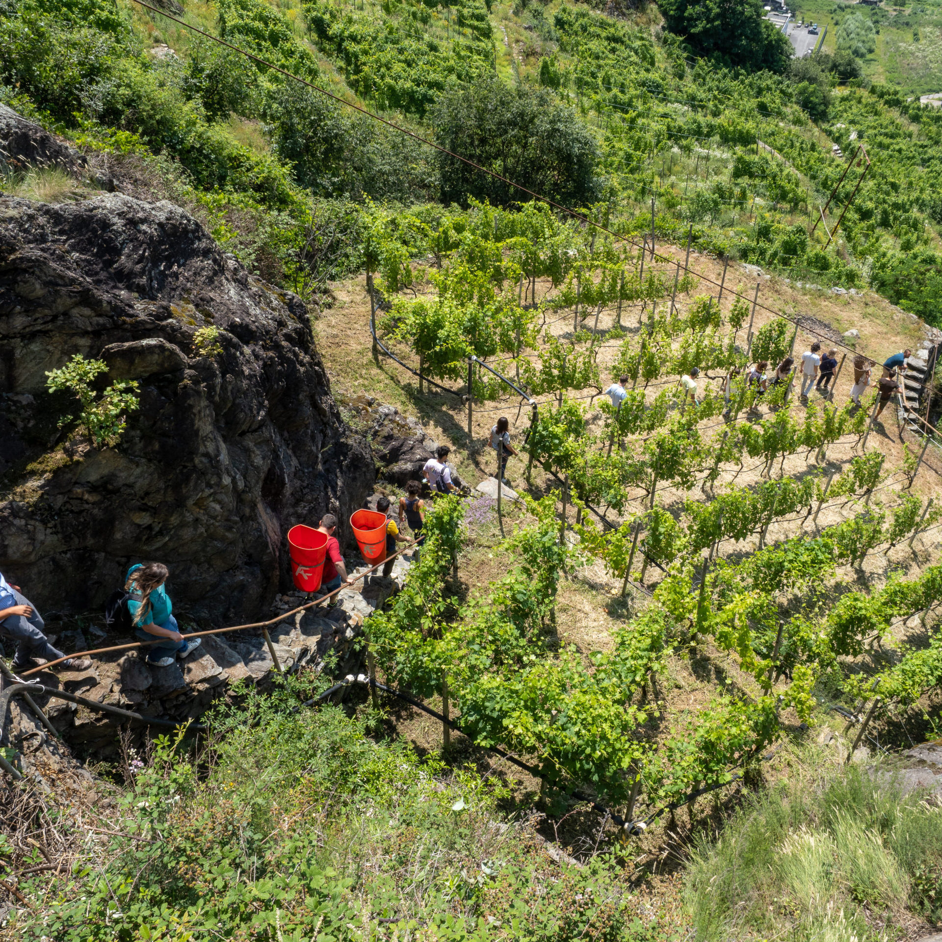 degustazione valtellina wine tour